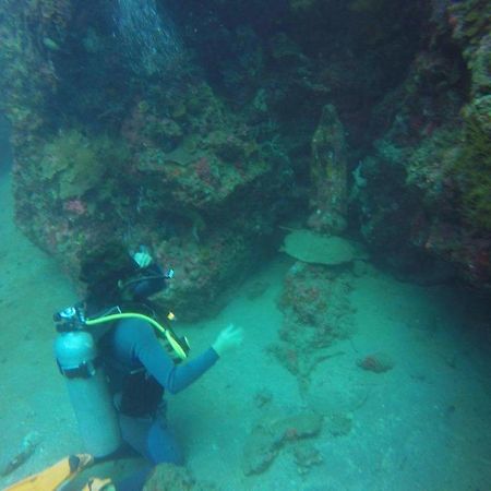Anilao Scuba Dive Center Hotel Batangas Ngoại thất bức ảnh