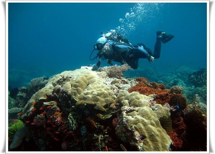 Anilao Scuba Dive Center Hotel Batangas Ngoại thất bức ảnh