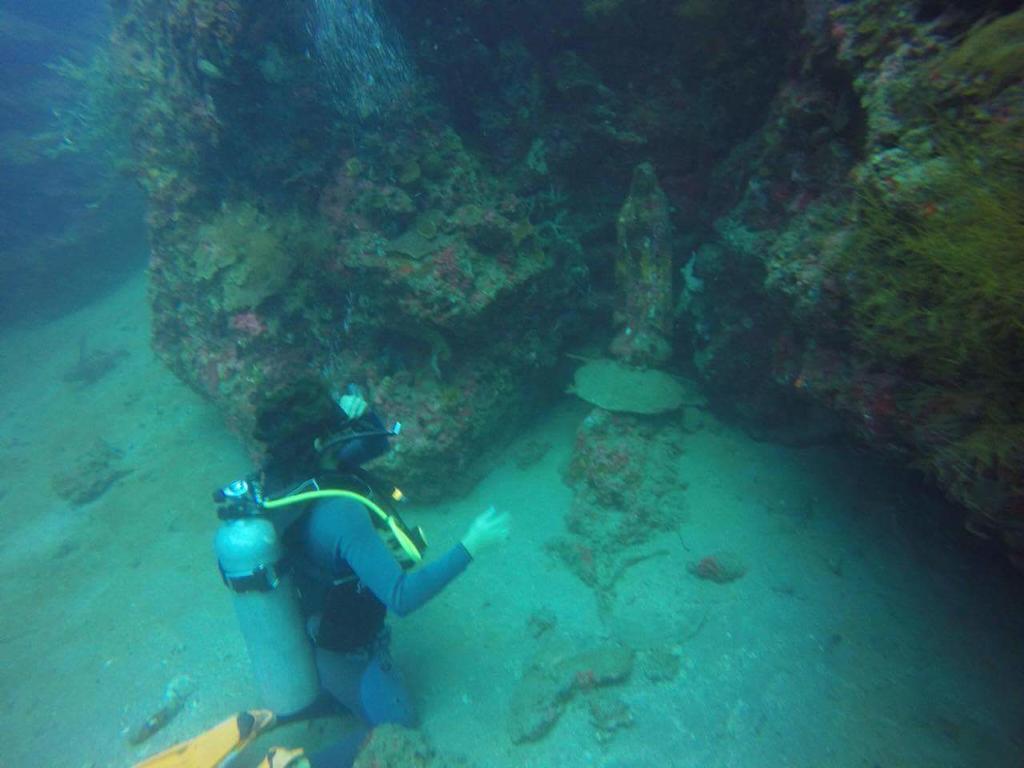 Anilao Scuba Dive Center Hotel Batangas Ngoại thất bức ảnh