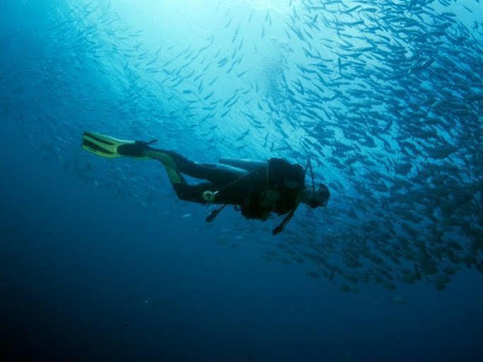 Anilao Scuba Dive Center Hotel Batangas Ngoại thất bức ảnh
